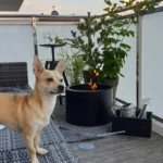 3446 Bioethanol-Standkamin MOON