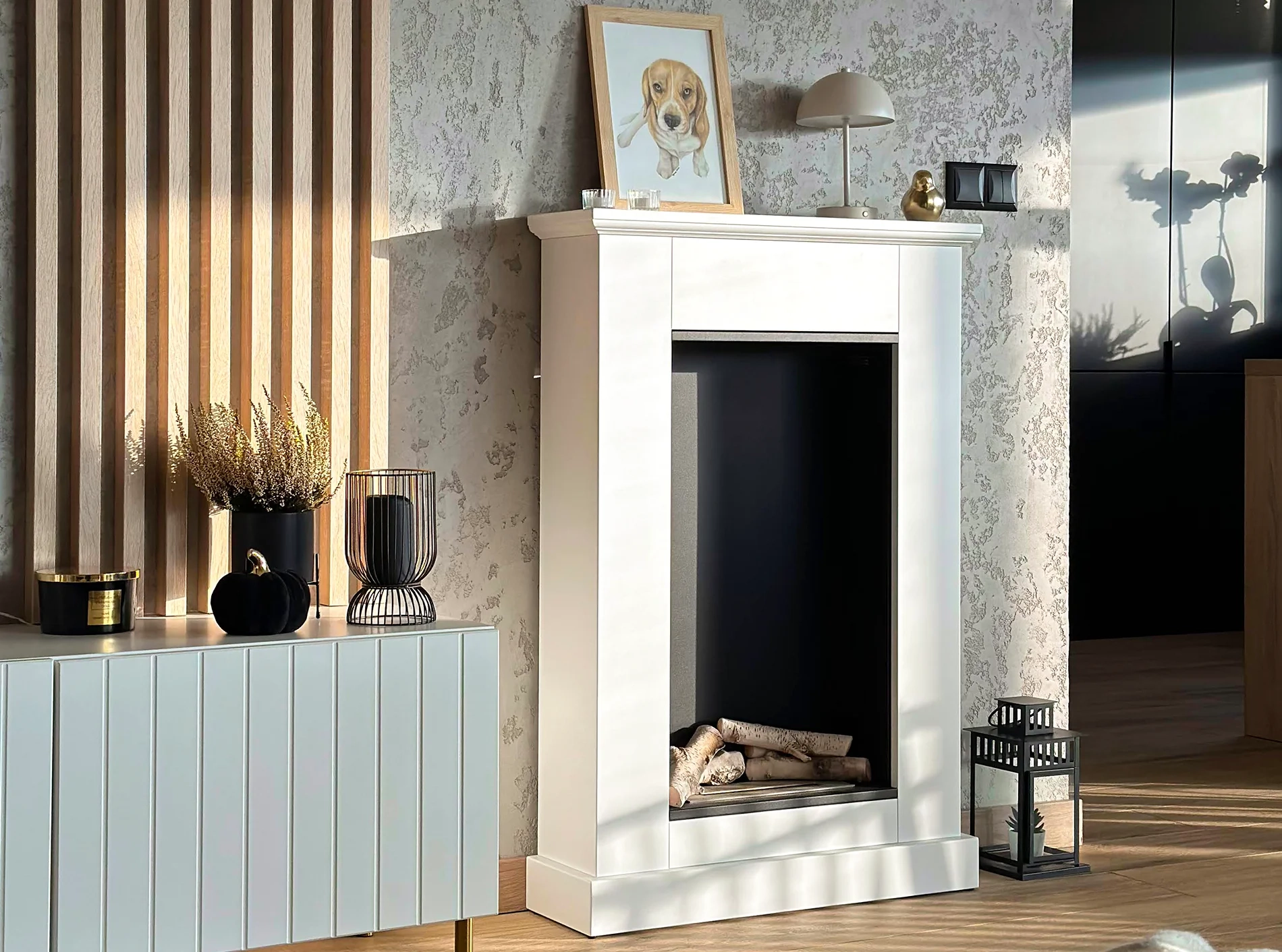 4650 Biokamin Portal Pula Mini